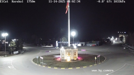 Veb-kamerada yalangoch jojalarni tomosha qiling Veb-kamerada yalangoch jojalarni tomosha qiling